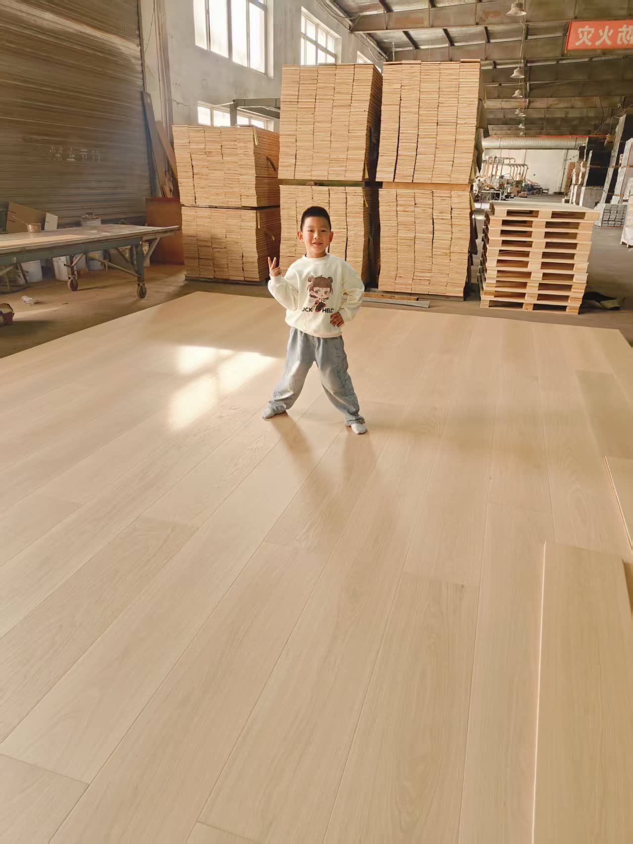 9620cce4780f10e66a37e4726474b3d3