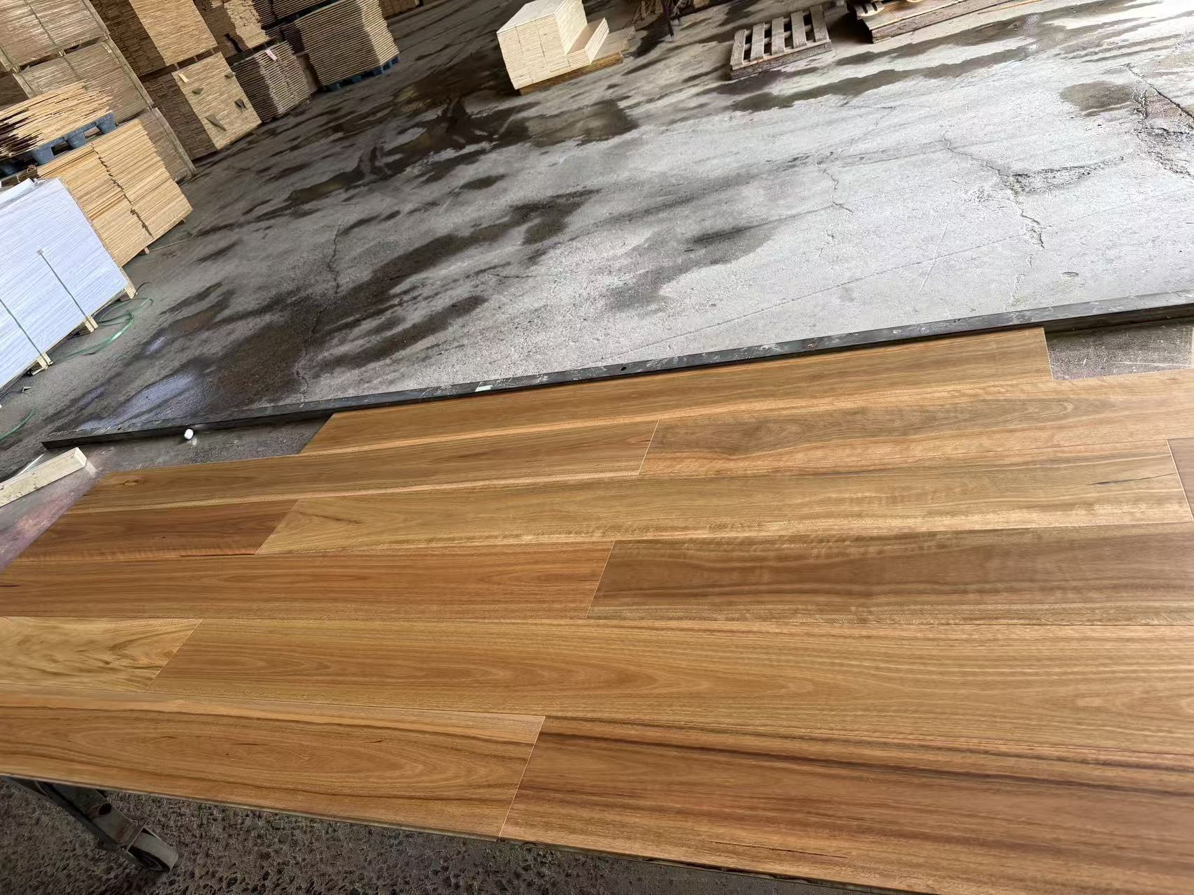 Spotted Gum engineered flooring quality reference