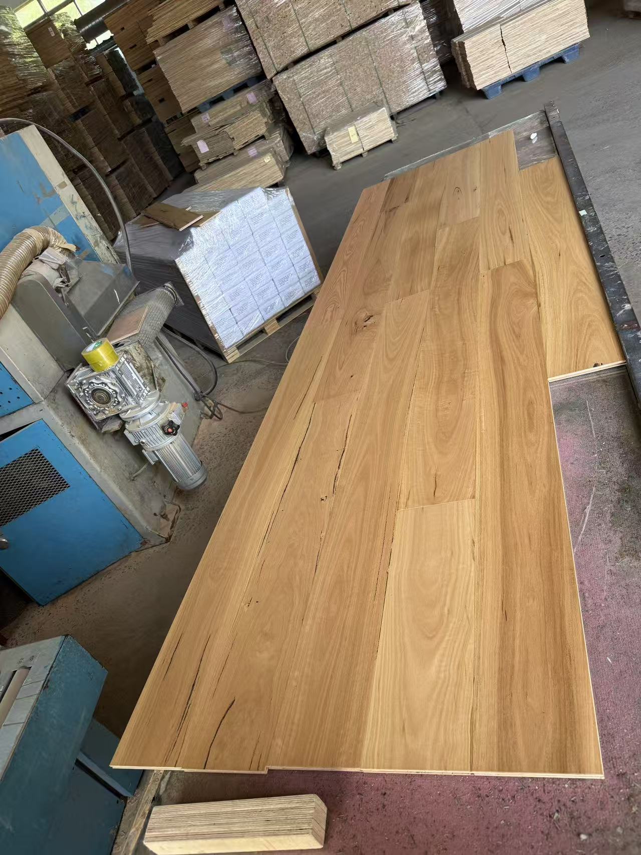 Spotted Gum timber surface detail